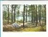 Classic Walden Pond Cairn Note Card - Fred Popper