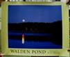 Walden Pond Color Poster - Scot Miller