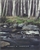 The Maine Woods - Henry David Thoreau, Jeffrey S. Cramer