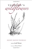 Thoreau's Wildflowers - Henry David Thoreau, Geoff Wisner