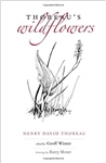 Thoreau's Wildflowers - Henry David Thoreau, Geoff Wisner