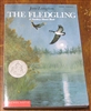 The Fledgling - Jane Langton