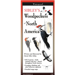 Sibley's Woodpeckers of North America (folding guide) - David Allen Sibley