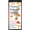 Common Mushrooms of the Northeast (folding guide) - Kirsten McKnight Ward, et. al.