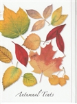 Autumnal Tints Note Card