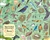 Nature Anatomy: Birds (The Puzzle, 500 pieces) - Julia Rothman