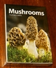 Mushrooms Playing Cards