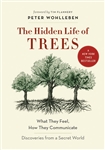 The Hidden Life of Trees - Peter Wohlleben & Jane Billinghurst