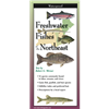 Freshwater Fishes of the Northeast - Robert G. Werner