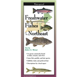 Freshwater Fishes of the Northeast - Robert G. Werner