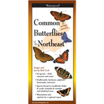 Common Butterflies of the Northeast (folding guide) - Rick Cech