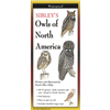 Sibley's Owls of North America - David Allen Sibley