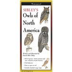 Sibley's Owls of North America - David Allen Sibley