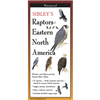 Sibley's Raptors of Eastern North America - David Allen Sibley
