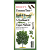 Sibley's Common Trees of Trails & Forests of the Northeast & Upper Midwest (folding guide) - David Allen Sibley