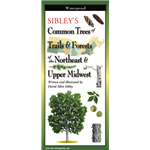 Sibley's Common Trees of Trails & Forests of the Northeast & Upper Midwest (folding guide) - David Allen Sibley