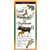 Land Mammals of the Northeast - Fiona A. Reid, illus.