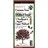 Sibley's Common Trees in the Cities & Towns of the Northeast & Upper Midwest (folding guide) - David Allen Sibley