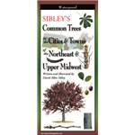 Sibley's Common Trees in the Cities & Towns of the Northeast & Upper Midwest (folding guide) - David Allen Sibley