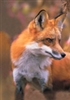 Blank Journal: Red Fox