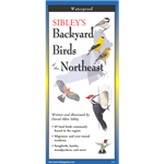 Sibley's Backyard Birds of the Northeast (folding guide) - David Allen Sibley