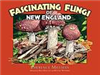 Fascinating Fungi of New England - Lawrence Millman, Rick Kollath