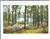 Classic Walden Pond Cairn Note Card - Fred Popper