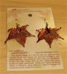 Copper Sugar Maple Leaf Earrings