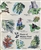 "Plants of Walden Pond" Poster - Marianne Orlando