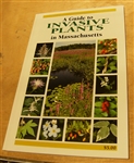 A Guide to Invasive Plants in Massachusetts - Paul Somers, et al.