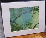 "New Maple Growth at Walden Pond" (14 x 11 Matted Print) – Deborah Shneider Smith