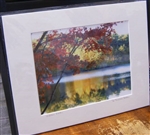 "Red Maple with Yellow Birch at Walden Pond" (14 x 11 Matted Print) – Deborah Shneider Smith