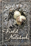 Field Notebook [featuring drawings from Henry David Thoreau's Journal]