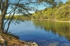 Thoreau's Cove in Summer Postcard - Richard Smith
