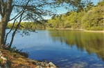 Thoreau's Cove in Summer Postcard - Richard Smith