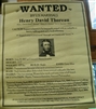 WANTED by U.S. Marshalls: Henry David Thoreau (poster)