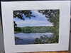 "Summer Green at Walden Pond" (14 x 11 Matted Print) – Barbara Olson