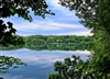 "Summer Green at Walden Pond" (14 x 11 Matted Print) – Barbara Olson