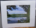"Summer Green at Walden Pond" (14 x 11 Matted Print) – Barbara Olson