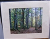"Fall Forest Floor in Walden Woods" (14 x 11 Matted Print) – Barbara Olson