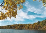 Walden Pond in Golden Autumn Postcard - Fred Popper