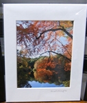 "Wyman Meadow Glow, Walden Pond, Concord, Mass." - (11 x 14 Matted Print) – Alice Wellington