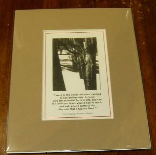 While We Teach matted print