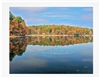 "Fall Reflections at Walden Pond" (14 x 11 Matted Print) – Barbara Olson