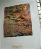 Walden Lily Pond Poster - John Wawrzonek, photographer