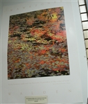 Walden Lily Pond Poster - John Wawrzonek, photographer