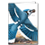Blue Jay Note Card - David Sibley