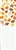 Falling Leaves Magnetic Note Pad