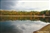 Autumnal Tints at Walden Pond Postcard - Bonnie McGrath