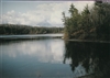 Spring at Walden Pond Postcard - Bonnie McGrath